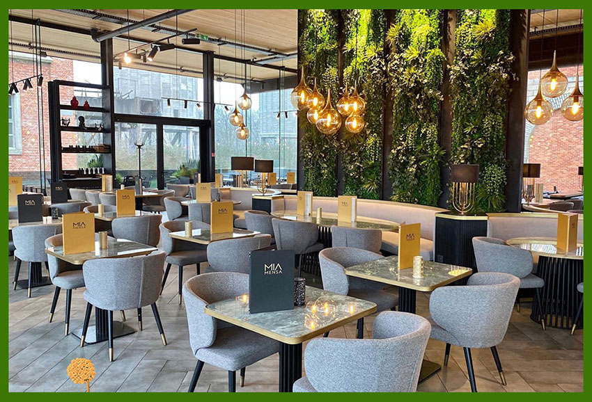 oval sandalye modelleri, berjer sandalye fiyatları, yeni nesil sandalyeler